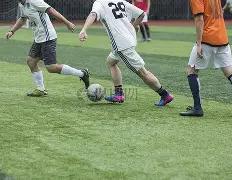 喀麦隆,塞内加尔,舒波,乐鱼体育,LeYu,乐鱼体育网址,乐鱼app,乐鱼官网,乐鱼集团