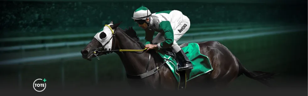 杜蘭特重返,太陽隊,能否重振奮,乐鱼体育,LeYu,乐鱼体育网址,乐鱼app,乐鱼官网,乐鱼集团