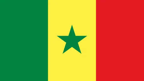 德约科维奇澳网再下一城，3-1力克法里亚夺冠